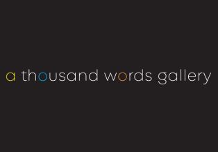 A Thousand Words Gallery - Generic 314 x 220